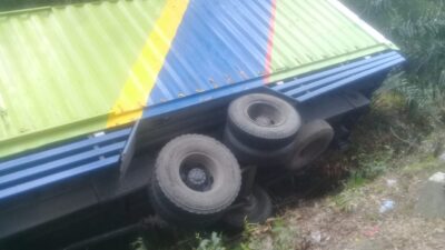 Truck Pengangkut Pupuk Terguling Didesa Alur Nireh,