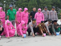 Lestarikan Penyu, Kapolres Aceh Jaya Bersama Ketua Bhayangkari Lepas 50 Tukik