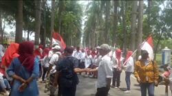 Ratusan Aksi Damai Massa Sedulur Jokowi Unjuk Rasa Di Lokasi Objek Di Depan Gerbang Tanah Exs Perkebunan HGU PTPN-2 Desa Dalu X – A