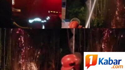 Kebakaran Pohon Beringin dan Pohon Sawit di Simpang Pantai Labu-Lubuk Pakam, Dinas Damkarmat Deli Serdang Bergerak Cepat Padamkan Api
