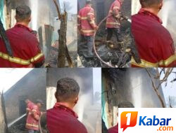 Dinas Damkarmat Deli Serdang Bergerak Cepat Padamkan Api Rumah Semi Permanen di Tanjung Morawa, Terbakar Diduga Akibat Korsleting Listrik
