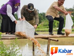 Asri Ludin Tambunan bersama Lom Lom Suwondo Tebar 10 Ribu Benih Ikan Mas di STM Hilir