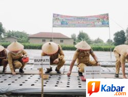 Bupati bersama Wakil Bupati Deli Serdang Tanam Bawang Merah di Demplot Tanjung Morawa