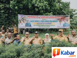 Bupati bersama Wakil Bupati Deli Serdang Panen Cabai Merah di Beringin, Tampung Aspirasi Petani