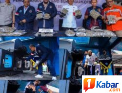 BNN Musnahkan Barang Bukti Narkotika Sekitar 14,6 Kg Ganja Hasil Pengungkapan yang Melibatkan WNA China di Bandara Internasional Soekarno-Hatta