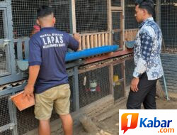 Dari Balik Lapas, Warga Binaan Kota Bakti Sukses Kembangkan Peternakan Unggas