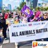 ‎Penyiksaan Anjing Wang Wang Picu Amarah Dunia, Gerakan Solidaritas Menggema dari Sumut dan Jakarta