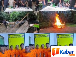 Lapak Narkoba Dibongkar dan Dibakar Habis, Gang Kalimantan Desa Tanjung Morawa B, Gang Aman Hingga Lorong 3 Tanjung Morawa Pekan, 7 Orang Gol