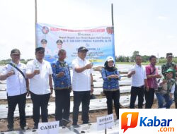 Tanam Cabai di Sunggal, Bupati Deli Serdang Tindaklanjuti Keluhan Petani Tentang Irigasi