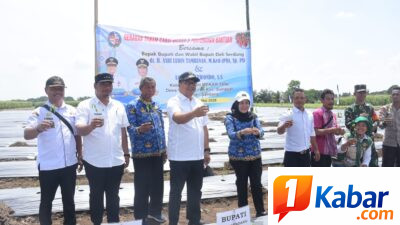 Tanam Cabai di Sunggal, Bupati Deli Serdang Tindaklanjuti Keluhan Petani Tentang Irigasi