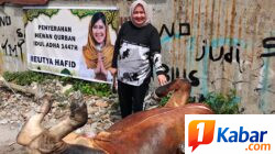 Majelis Ta’lim dan Dzikir Al-Haura Sumut Sembelih 2 Ekor Sapi dan 1 Ekor Kambing Hewan Kurban di Medan dan Batubara