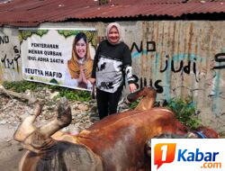 Majelis Ta’lim dan Dzikir Al-Haura Sumut Sembelih 2 Ekor Sapi dan 1 Ekor Kambing Hewan Kurban di Medan dan Batubara
