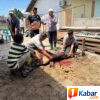 Paguyuban Musara Gayo Kota Langsa Sembelih Hewan Qurban, Pererat Silaturahmi Antar Anggota