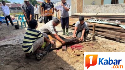 Paguyuban Musara Gayo Kota Langsa Sembelih Hewan Qurban, Pererat Silaturahmi Antar Anggota