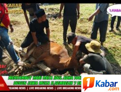 Wujudkan Kepedulian Sosial, Warga Dusun Jawa Muka II Langsa Kota Sembelih 7 Sapi dan 5 Kambing di Hari Raya Idul Adha 1447 H