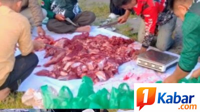 Kebersamaan Iduladha, Asna.MHI dan Civitas Akademika IAIN Takengon Laksanakan Kurban Penuh Haru