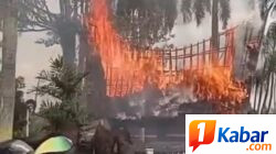 Rumah Adat Monumen Tugu Nasional Sisingamangaraja XII di Depan Polsek Medan Kota Hangus Terbakar