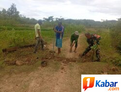 Babinsa Koramil 11/Bandar Baru Gotong Royong Bersama Warga Desa Alue, Pererat Kebersamaan