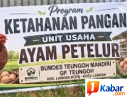 Bumdes Gampong Teungoh Tingkatkan Ketahanan Pangan Tebar Ayam Petelur,
