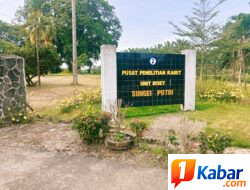 Gaji Diterima Karyawan di Pusat Penelitian Karet Unit Riset  Sei Karang Tak Sesuai Laporan BPJS? Selisih jutaan rupiah jadi sorotan, Plh unit diduga buang badan