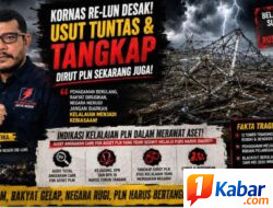 Belasan Tower SUTET Dan SUTT Di Sumut Rusak Hingga Picu Pemadaman, Audit Anggaran Manajemen Care 4 Asset PLN