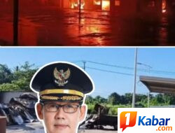 LSM GTI Angkat Bicara Terkait Kebakaran di PT Futai: Fikri Alkatiri Nilai Peristiwa Ini Cerminan Kegagalan Pemerintah dan APH dalam Menangani Konflik Lingkungan