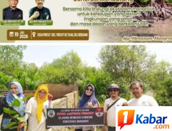 Peduli Kelestarian Lingkungan : “AMPHIBI Tanam 500 Pohon di Hari Mangrove Sedunia 2026!”