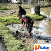 Wujudkan Ketahanan Pangan, Babinsa Koramil 11/Bandar Baru Dim 0102/Pidie Turun Langsung Olah Lahan Bersama Petani di Desa Sawang