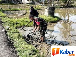 Wujudkan Ketahanan Pangan, Babinsa Koramil 11/Bandar Baru Dim 0102/Pidie Turun Langsung Olah Lahan Bersama Petani di Desa Sawang