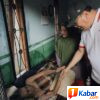 2 Tahun Terbaring Penerima Bantuan Program RTLH di Tanjung Morawa, Bupati Deli Serdang Berhasil Bujuk Kartini Berobat ke RSUD Drs. H. Amri Tambunan