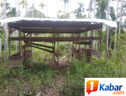 Masyarakat Desak Inspektorat, Polres, dan Kejaksaan Turun ke Lapangan Terkait Pengelolaan Aset dan BUMDes Gunung Bakti