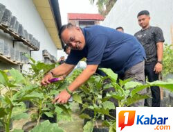 Dukung Ketahanan Pangan dan Pemberdayaan Warga Binaan, Kakanwil Ditjenpas Aceh Tinjau Layanan Dapur Hingga Panen Telur di Lapas Kota Bakti