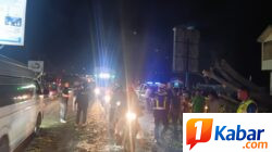 ‎Pohon Tumbang Timpa Suzuki Carry di Pidie, Tujuh Orang Meninggal Dunia