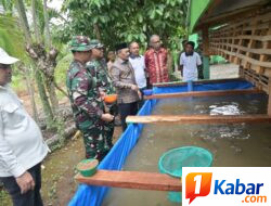 Danrem 011/Lilawangsa Tinjau Sasaran Tambahan TMMD ke-129, Kolam Lele dan Kandang Ayam Petelur
