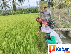 Babinsa Koramil 11/Bandar Baru Lakukan Komsos dengan Petani di Desa Tanoh Mirah