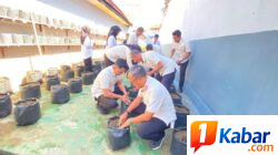 Lapas Kelas IIB Kota Bakti Perkuat Ketahanan Pangan melalui Budidaya Tanaman Tomat