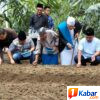 Perkuat Ketahanan Pangan dan Pengendalian Inflasi, Lom Lom Suwondo Dorong Pondok Pesantren Al-Hidayah di Kutalimbaru-Deli Sedang, Kembangkan Budidaya Bawang Merah