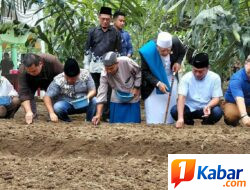 Perkuat Ketahanan Pangan dan Pengendalian Inflasi, Lom Lom Suwondo Dorong Pondok Pesantren Al-Hidayah di Kutalimbaru-Deli Sedang, Kembangkan Budidaya Bawang Merah