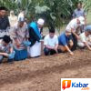 Wakil Ketua Komisi XIII DPR RI Hadiri Launching Penanaman Bawang Merah di Lahan Pondok Pesantren Al-Hidayah di Kutalimbaru