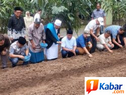 Wakil Ketua Komisi XIII DPR RI Hadiri Launching Penanaman Bawang Merah di Lahan Pondok Pesantren Al-Hidayah di Kutalimbaru