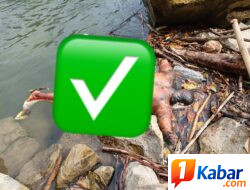 MAYAT LAKI-LAKI DITEMUKAN DI BANTARAN SUNGAI LAE KOMBIH, WARGA LAKUKAN EVAKUASI