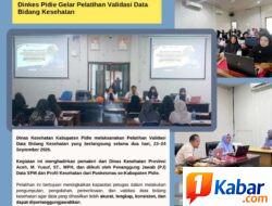 Dinkes Pidie Perkuat Tata Kelola Data untuk Mendukung Program Kesehatan