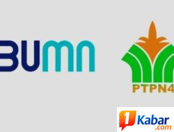 PTPN IV Regional VI Dengan Tegas Melarang Dirikan Bagunan Diatas Lahan HGU Tanah Milik Negara,
