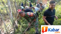 Babinsa Koramil 11/Bandar Baru Bersama Warga Desa Alue Gelar Gotong Royong, Perkuat Kebersamaan