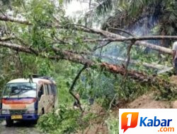 Longsor Terjang Belasan Titik Jalan Provinsi di Gunung Meriah-Deli Serdang, Akses Kendaraan Terganggu