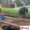 Babinsa Koramil 11/Bandar Baru Dorong Ketahanan Pangan melalui Pembibitan Cabai di Sagoe Langien