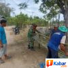 Babinsa Koramil 11/Bandar Baru Bersama Warga Gampong Alue Perkuat Kebersamaan Lewat Gotong Royong
