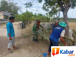 Babinsa Koramil 11/Bandar Baru Bersama Warga Gampong Alue Perkuat Kebersamaan Lewat Gotong Royong