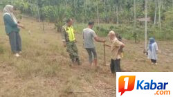 Babinsa Koramil Bandar Baru Dampingi Warga Cek Lahan untuk Penanaman Kakao